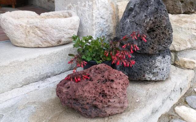 Sa domu de ziu Antoneddu