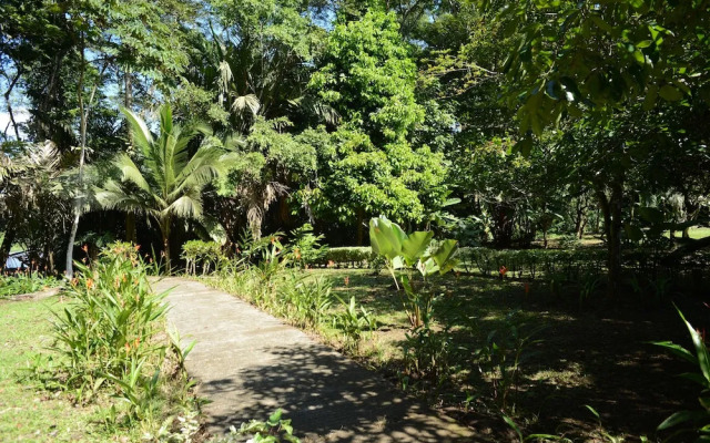 Hotel Tortuguero Jungle