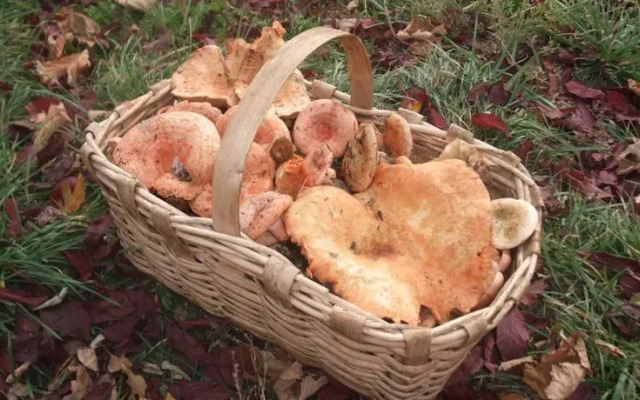 Maison Sauvaire-Vernoux