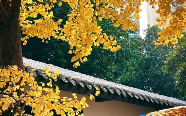 Chengdu Chengshe Hotel (Wenjiang University Town Southwest Caida Branch)