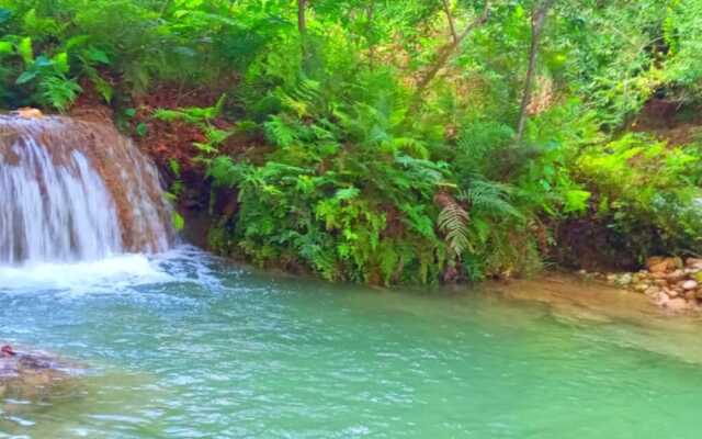 Room in Cabin - Cabanas Sierraverde Huasteca Potosina Highland Cabin