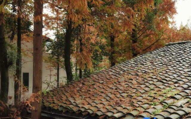Qingcheng Study Eco Resort Hotel