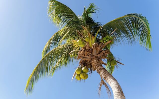 Golden Beach Resort