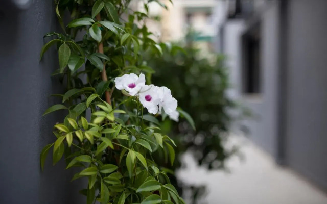 Spacious flat with courtyard and private parking!
