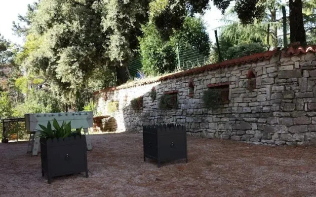 Miralaghi