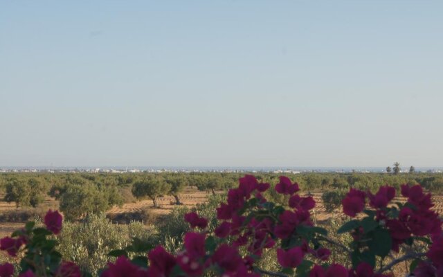 Domaine El-Manar