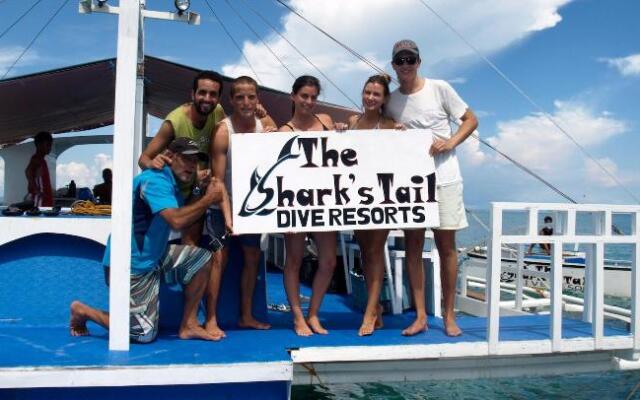 The Sharks Tail Dive Center