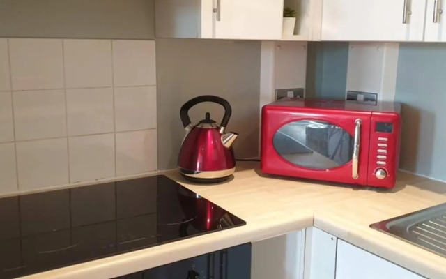 Modern and spacious Swansea centre apartment