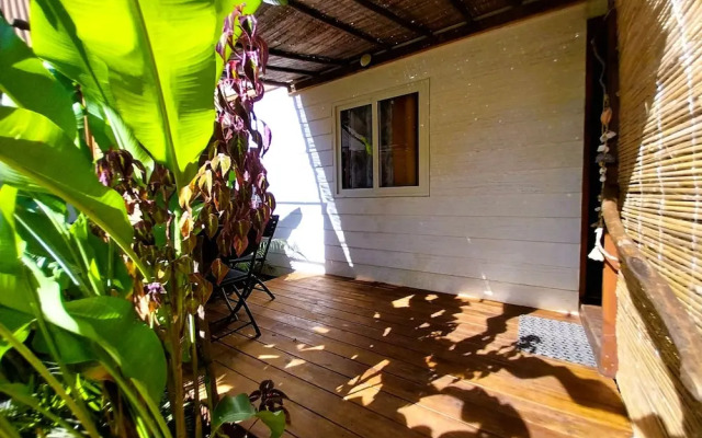 Moorea - Tropical Nest