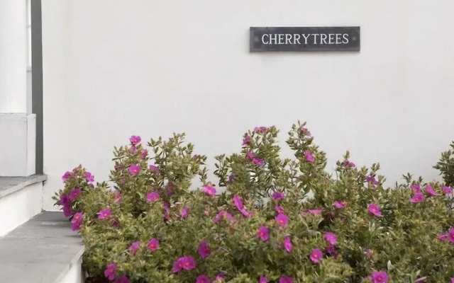 Cherrytrees