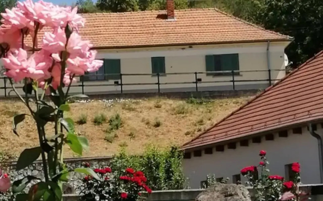 Tarcal Apartman