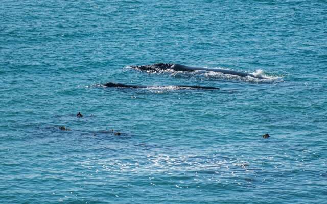 The Lookout at Whale Cove