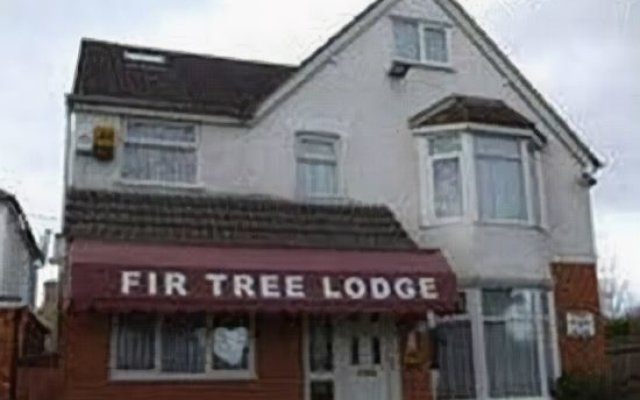 Fir Tree Lodge Hotel - Guest house