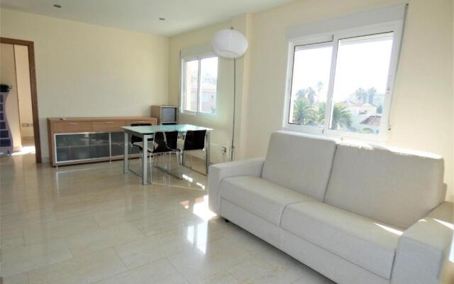 AP204 Renoir Oliva Nova