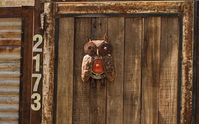 the owls lodge