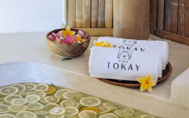 Villa Tokay - The Luxury Resort