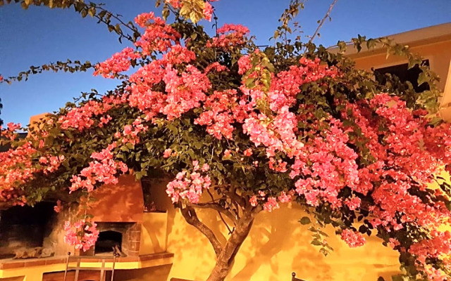 B&B Il Piccolo Giardino