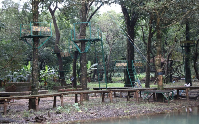 Shangri La Jungle Resort