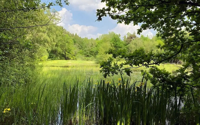 Appealing Apartment in Westerstede