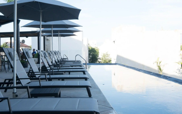 Hive Cancun
