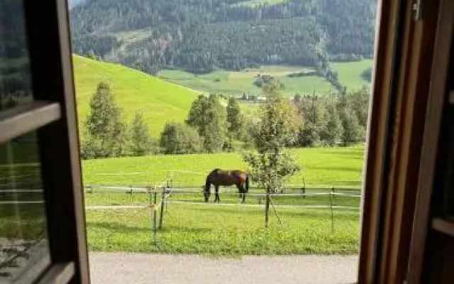 Silentium Dolomites Chalet
