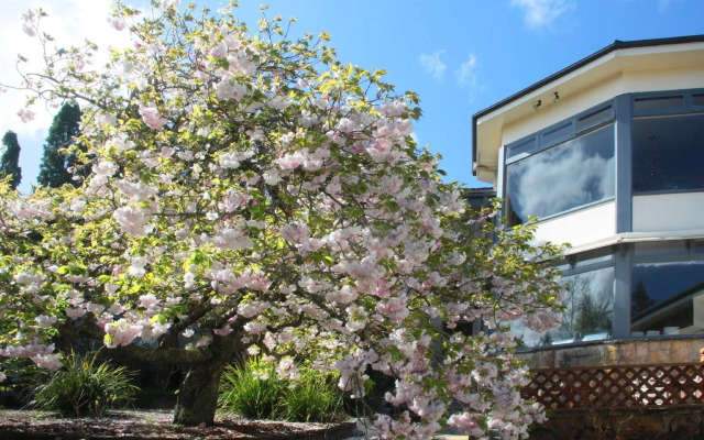 Nesuto Leura Gardens Hotel