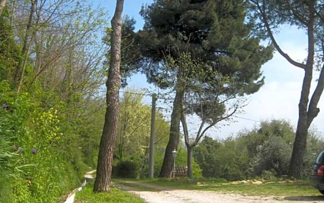 Collesole