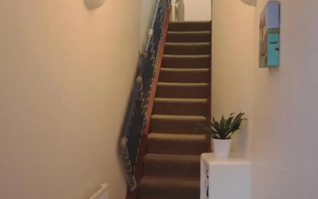 8 Ravenscourt Gardens