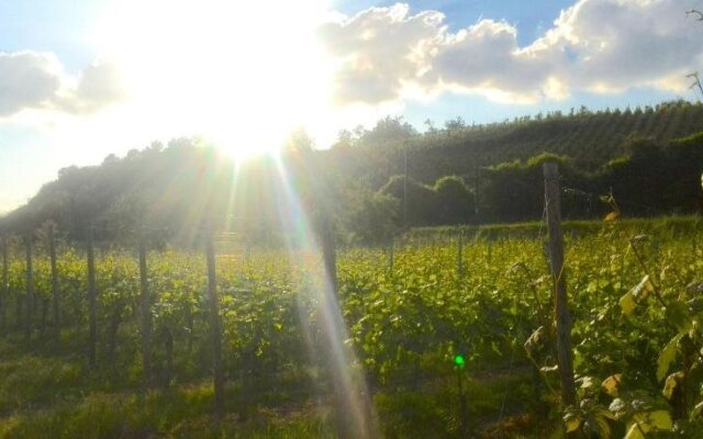 Waldherberge Moselblick in Brodenbach/Mosel
