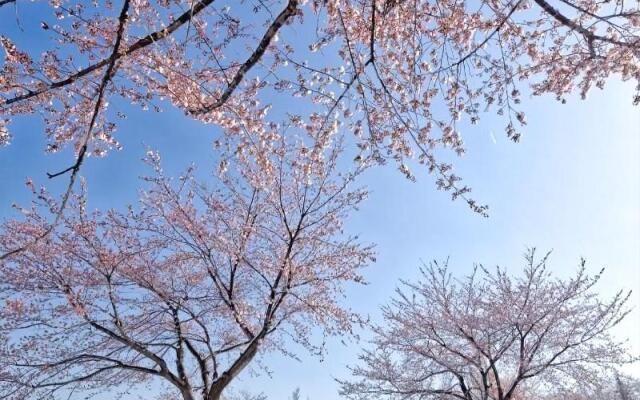 Atema Kogen Resort Belnatio