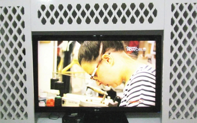 Heritage Bungalow-97 Ajmer