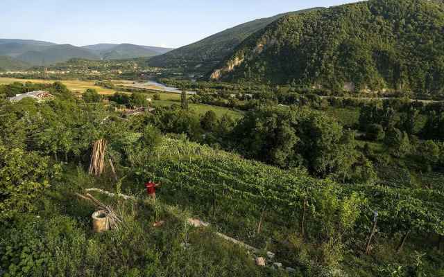 House in the Vineyard