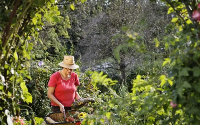 Naturparkbauernhof Pöltl