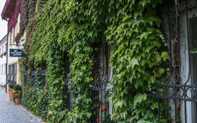 Boutique Hotel Tanzberg