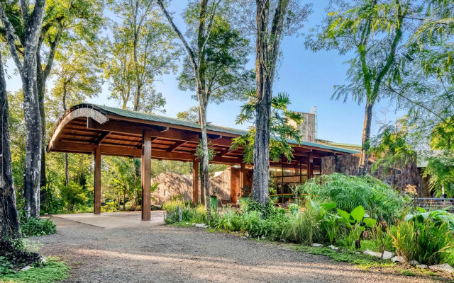Rainforest Hotel & Cabañas