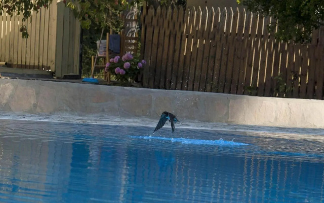 Olive Grove Resort Annex