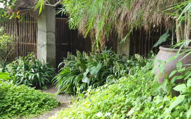 Maka-Kalinaw 5 Wabi sabi Room, Forest Deck View