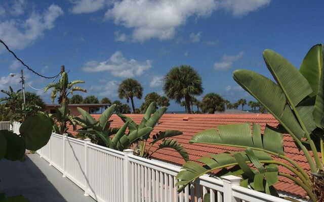 Coquina On The Beach