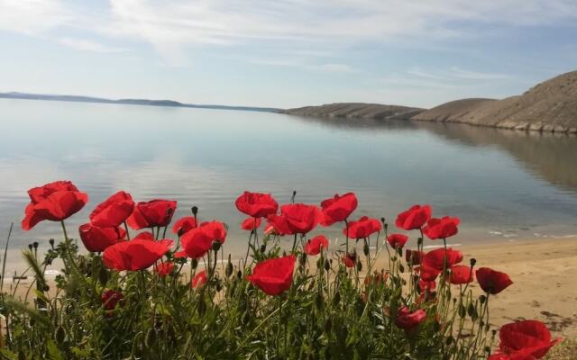 Ana - Great Location, Near the Beach - A2