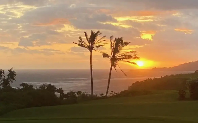 Kamahana 24