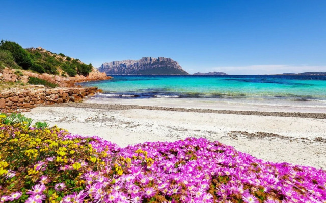 Villa Plumbago 80mt From The Beach