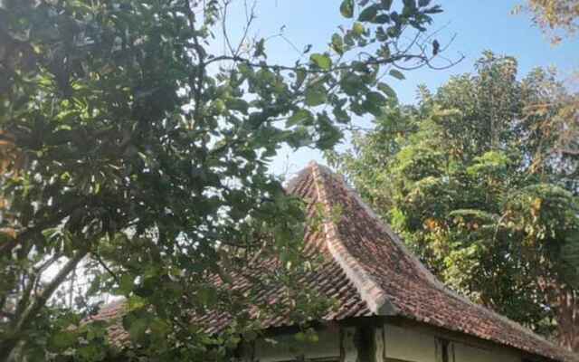 Sapulidi Cafe, Resort & Gallery