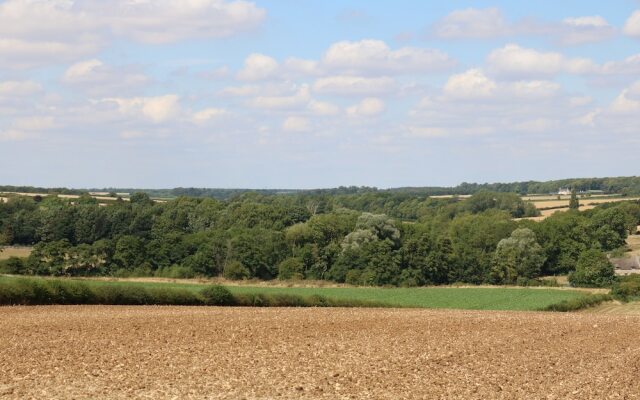 Glaston
