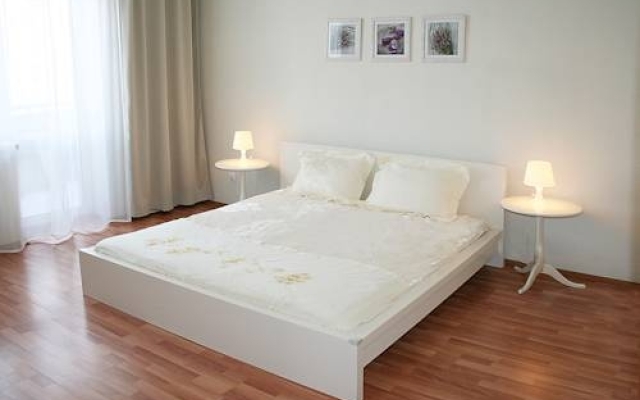 Hhotel Apartments on Radishcheva 18