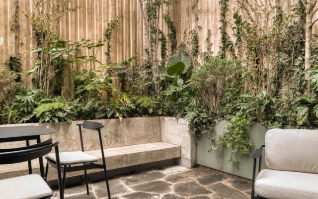 ONTO Alvaro Obregon Mexico City