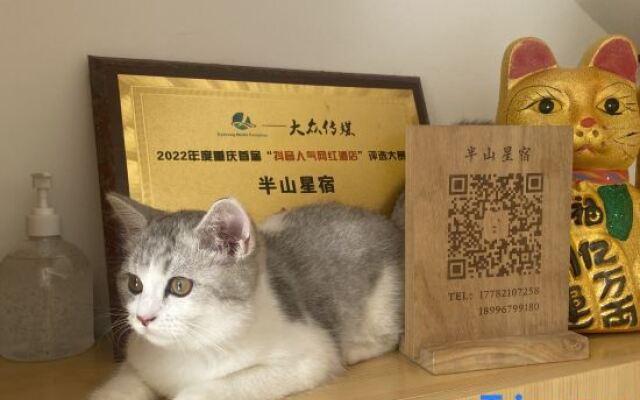 Mid-mountain Constellation (Fairy Mountain Store)