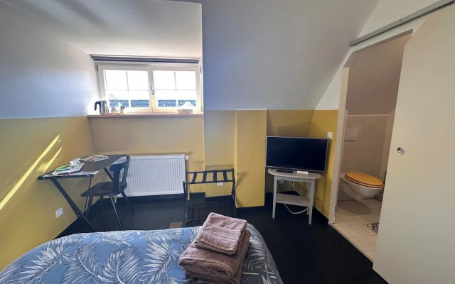 Les Cigognes de Rosheim