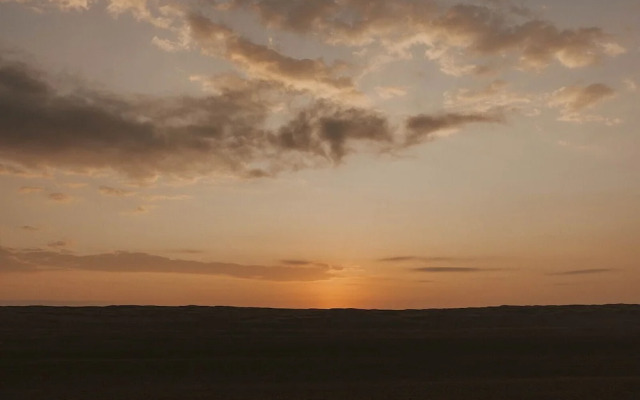 Golden Desert Camp