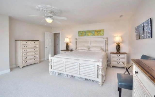 Stranded Indolphinitely