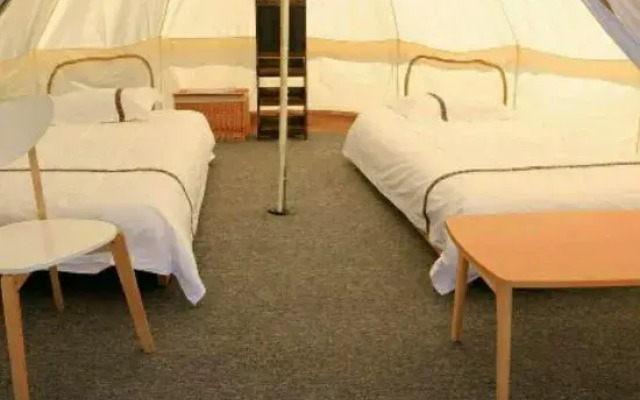 Flower House Girl Desert Camping Base